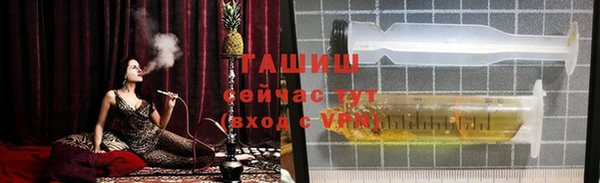 молекула духа Богданович