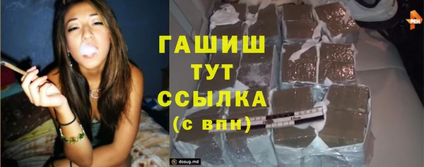 молекула духа Богданович