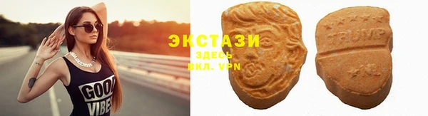 молекула духа Богданович