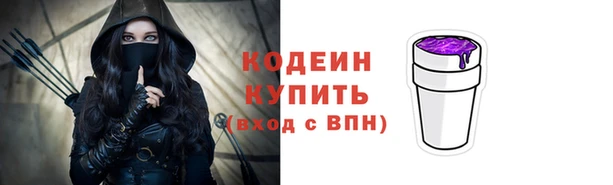 молекула духа Богданович