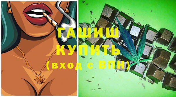 молекула духа Богданович