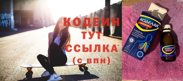 молекула духа Богданович