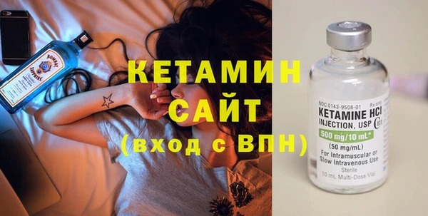 молекула духа Богданович