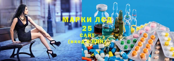 молекула духа Богданович