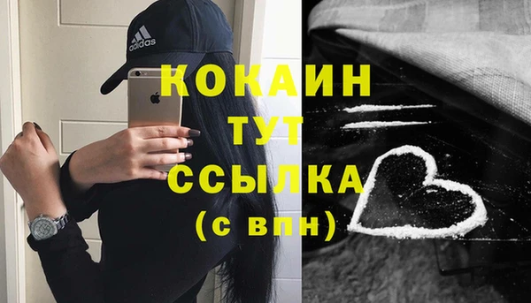 молекула духа Богданович