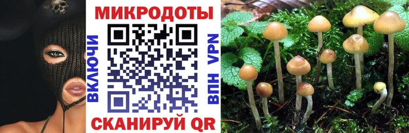 даркнет как зайти  Новокубанск  Псилоцибиновые грибы GOLDEN TEACHER 
